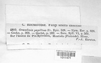 Image Associated With the Occurence